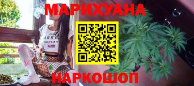 мдпв Бийск