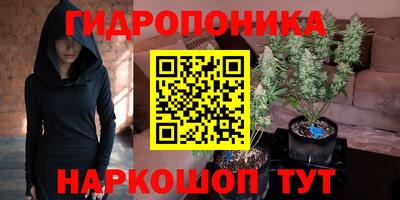 мдпв Бийск