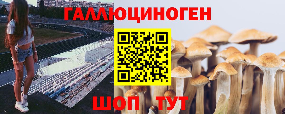 Галлюциногенные грибы GOLDEN TEACHER  Псилоцибиновые грибы GOLDEN TEACHER  Губкин  Вход с VPN 