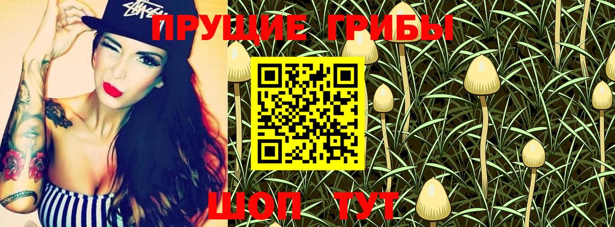 Галлюциногенные грибы Psilocybine cubensis Губкин